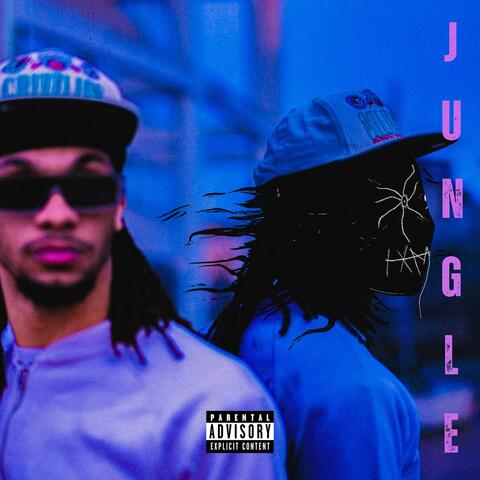 JUNGLE album art