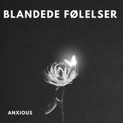 Kan Du Se Det Nu album art