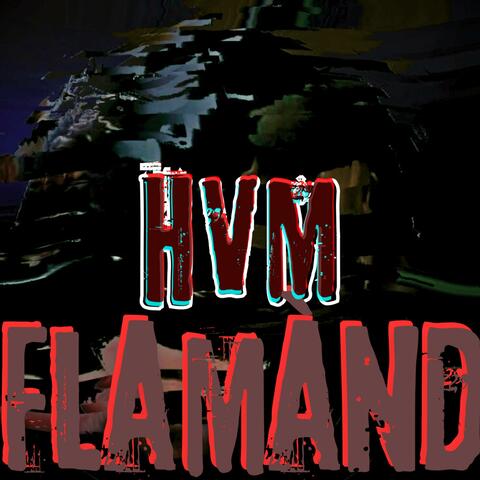 HVM album art