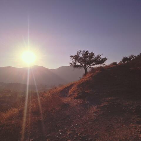 Solstice Sun album art