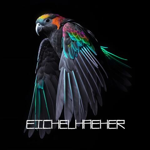 Eichelhaeher album art