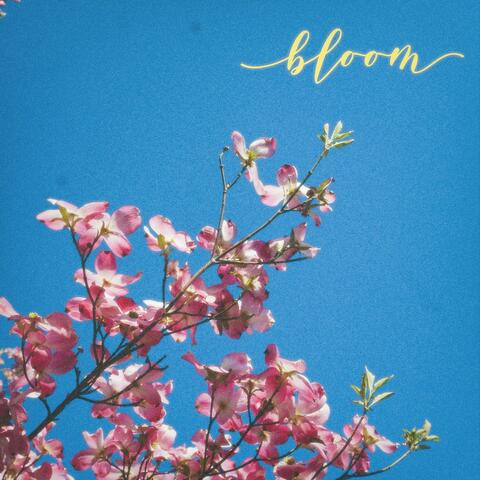 bloom album art