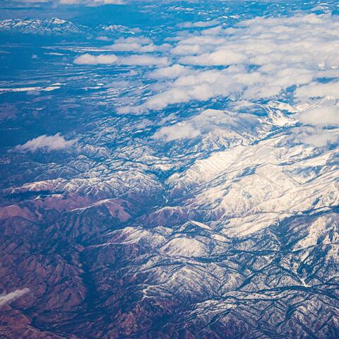 NO Tomorrow album art