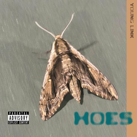 hoes album art