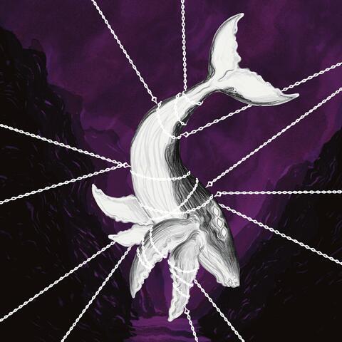 Kindness of the Whale album art