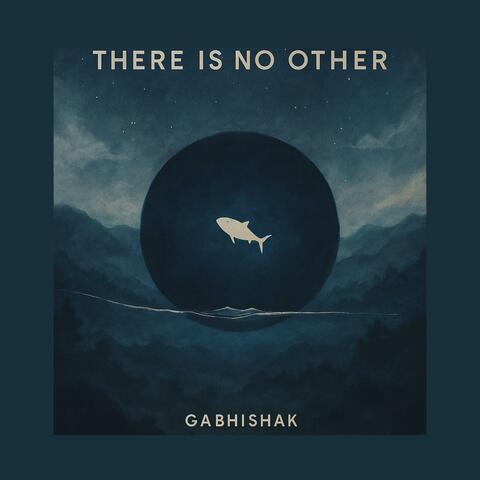There is no other album art