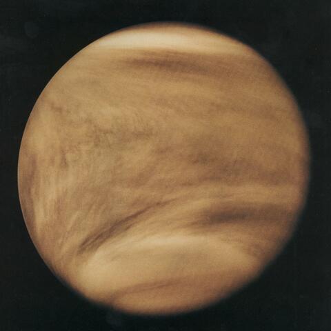 VENUS RMXS album art