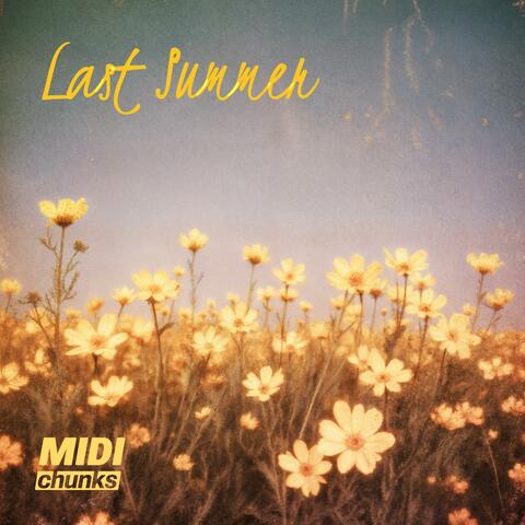 Last Summer (VIP Edit) album art