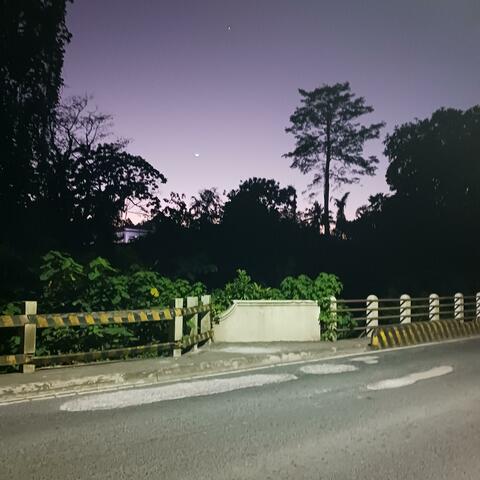 Willow Creak album art