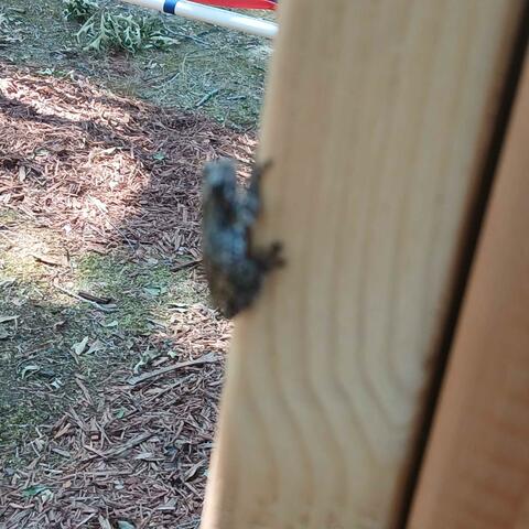 Like a god album art