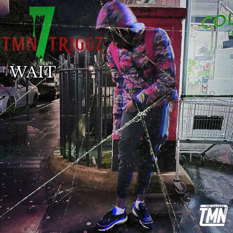 Wait album art