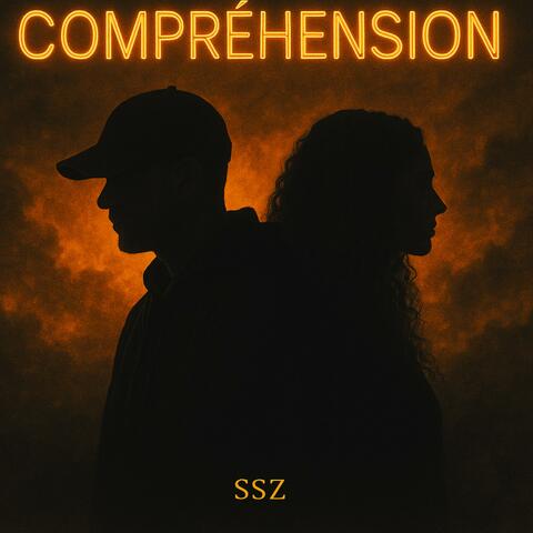 Compréhension album art