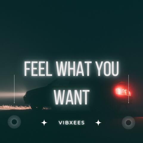 Feel What You Want album art