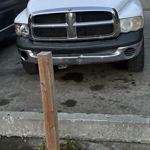 TheHomieLJ album art