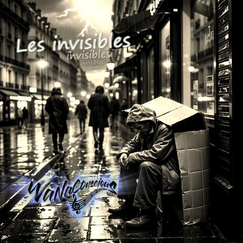 Les invisibles album art