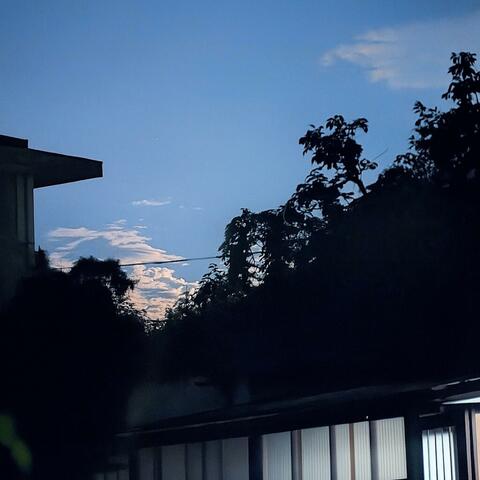 organic fake environments album art