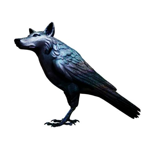 havrania škola album art