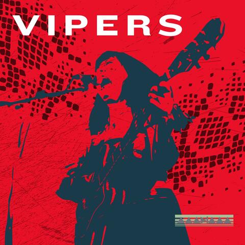 Vipers album art