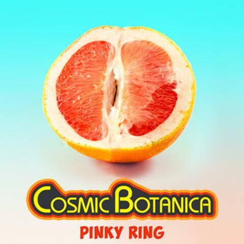 PINKY RING MIX album art