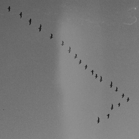 No Particular Sense album art