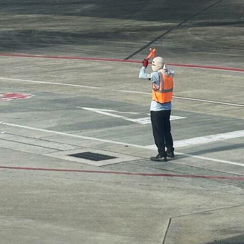 AEROLINEA 808 album art