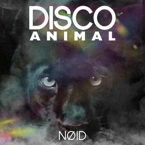 Disco animal album art