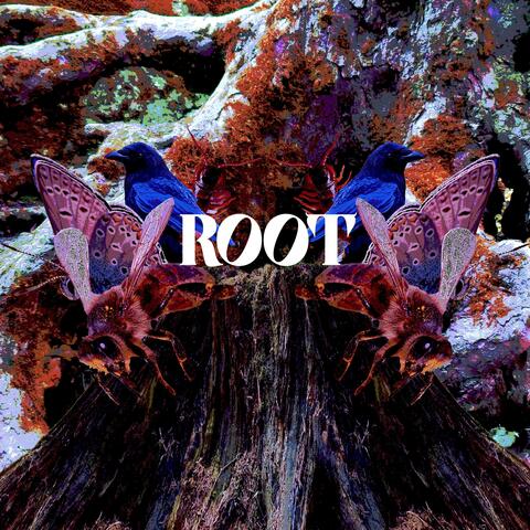 ROOT album art