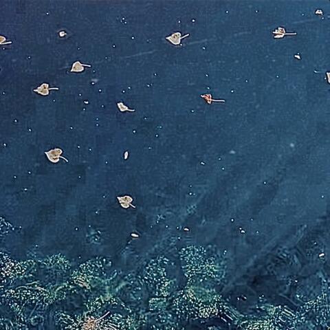 Keep Me Still album art