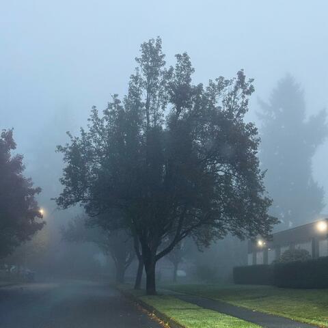 You know we wit it album art