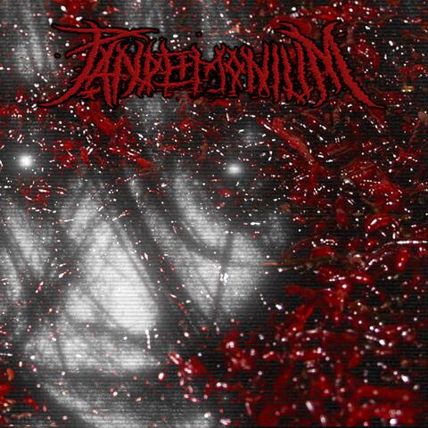 NIGHTMARE SYNDROME album art