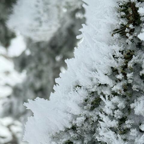 let this moment pass album art