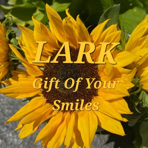 Gift Of Your Smiles album art