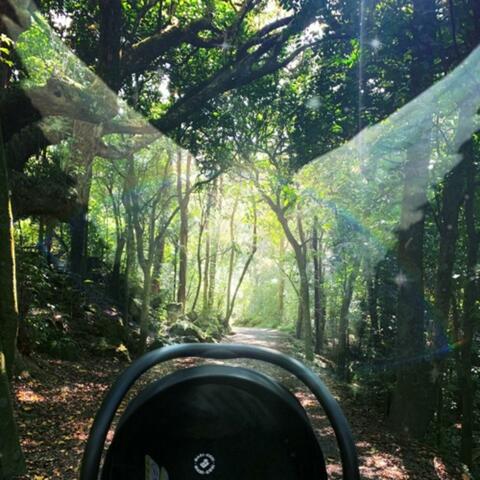 2024 lullaby compositions album art