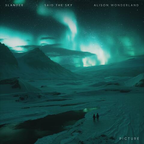 Picture album art