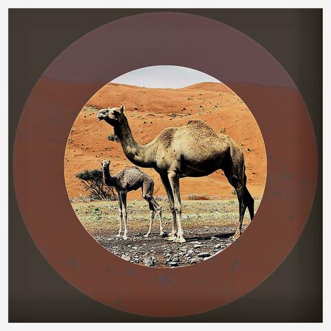 Camel Emba album art
