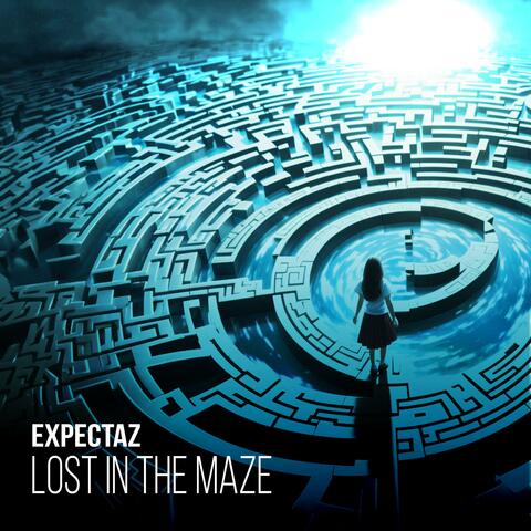 Lost In The Maze album art