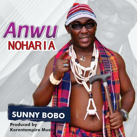 Anwu Noharia album art