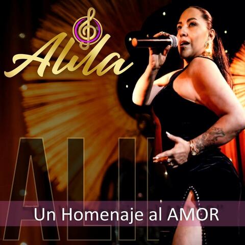Un Homenaje Al Amor album art