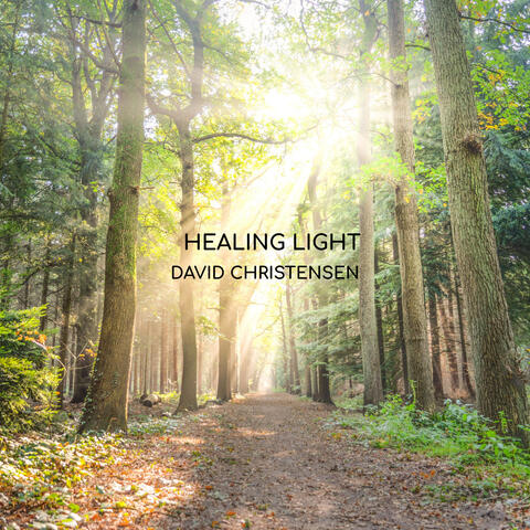 Healing Light album art