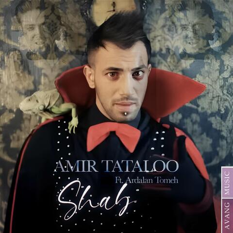 Shab album art