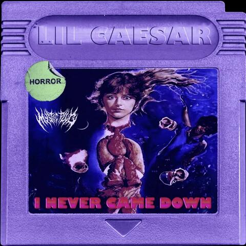 I NEVER CAME DOWN album art