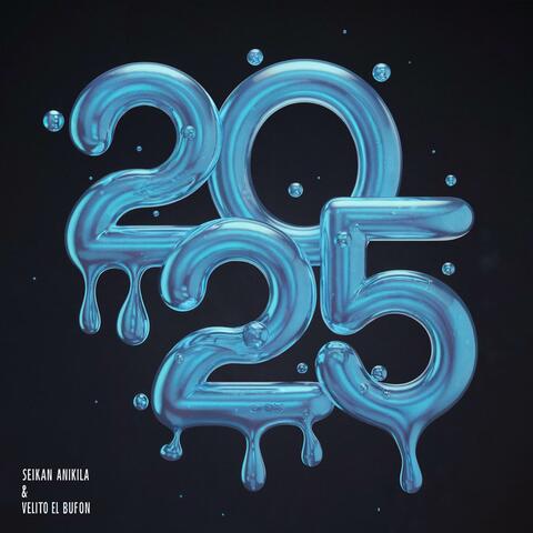 2025 album art