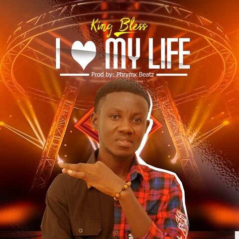 I Love My Life album art
