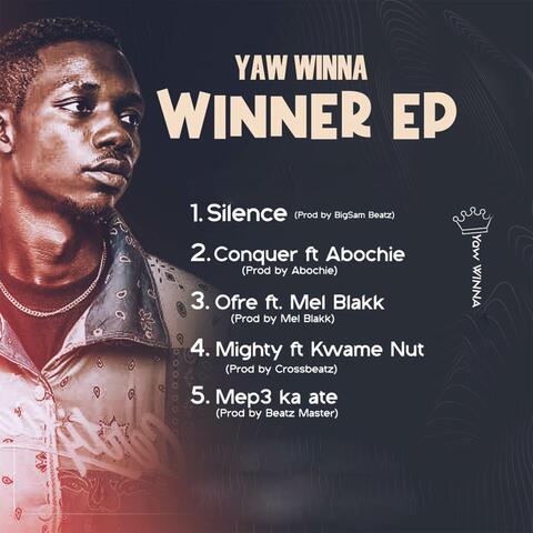WINNER album art