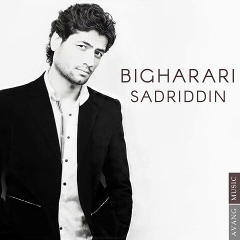 Bigharari album art