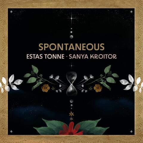 Spontaneous album art
