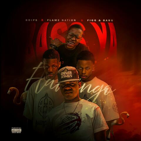 Bass Ya Flamingo album art