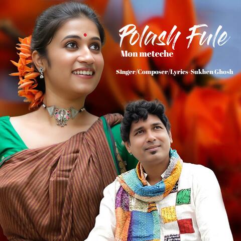 Polash Fule Mon Meteche album art