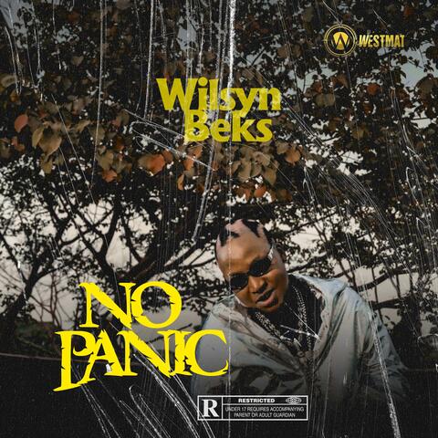 No Panic album art