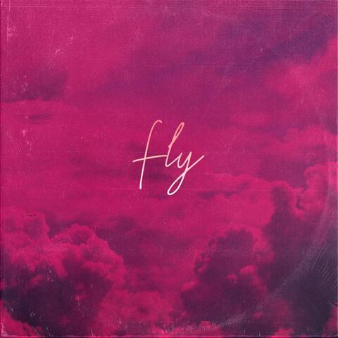 Fly album art